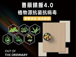 鲁丽精板4.0 发布会现场