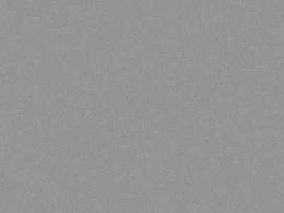 爱丽诺纹藏-明月