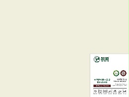 壮象醇香板-亚银灰