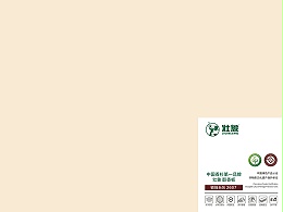 壮象醇香板-银烛台灰